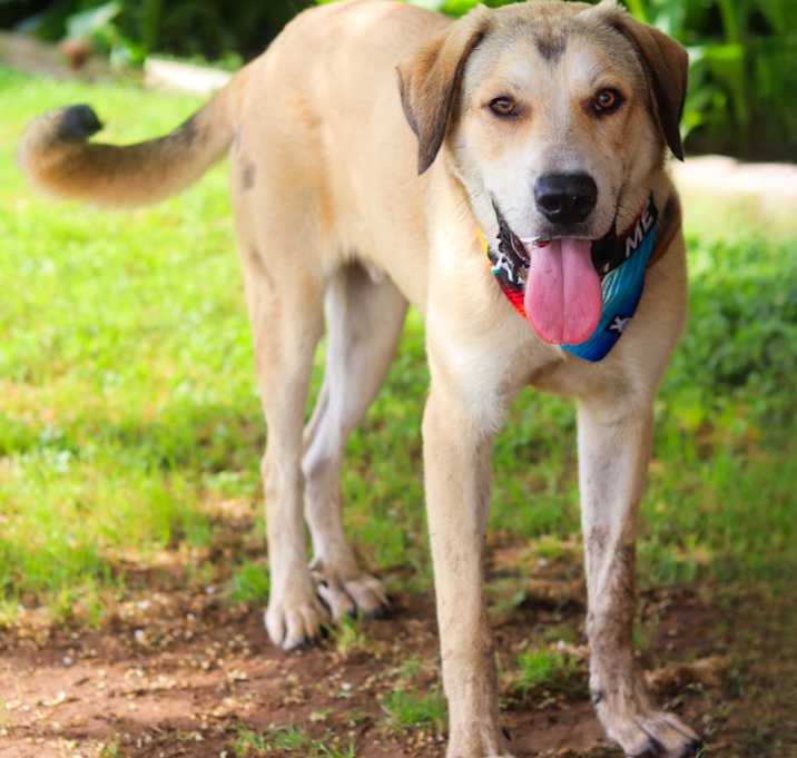 Photo of Sweezy 25-05-092