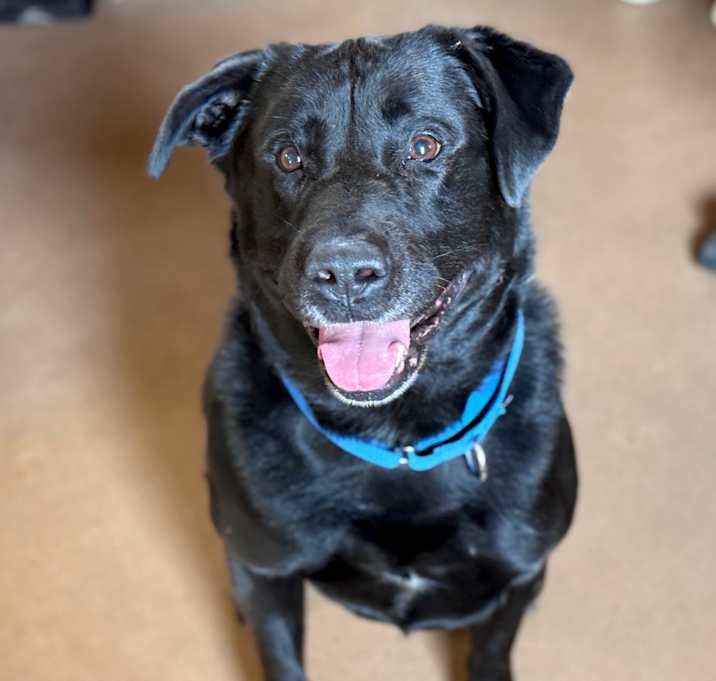 Photo of TEDDY