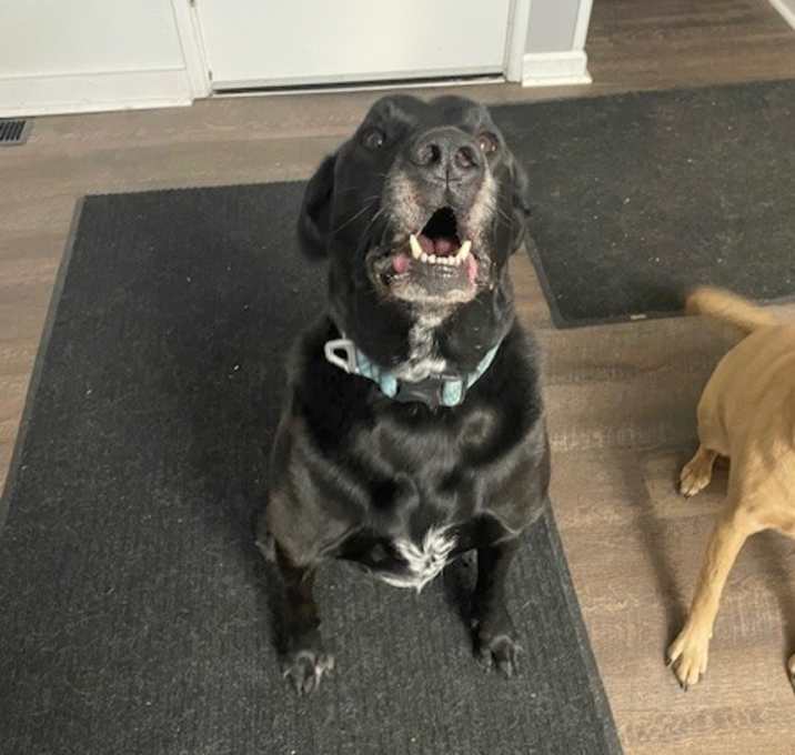 Photo of Jasper
