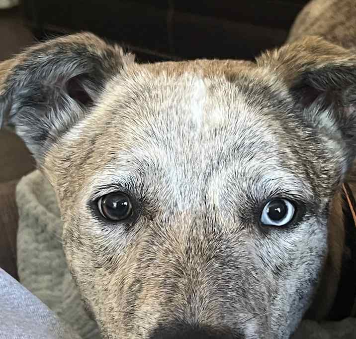 Photo of Murphy