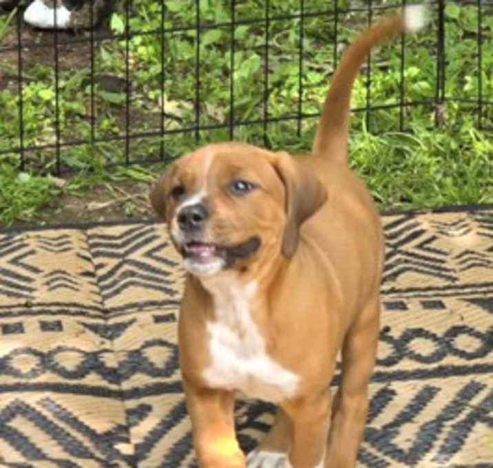 Photo of Teyla