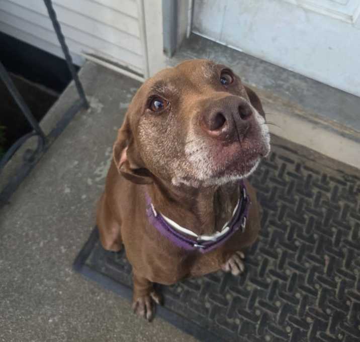 Photo of Sadie