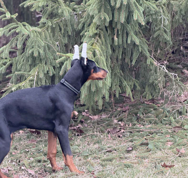 Photo of Ellie