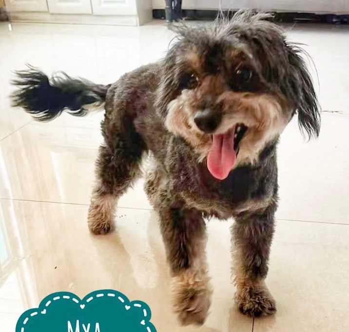 Photo of Mya