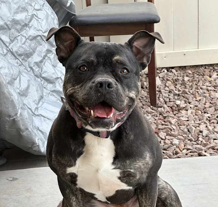 Photo of Coco