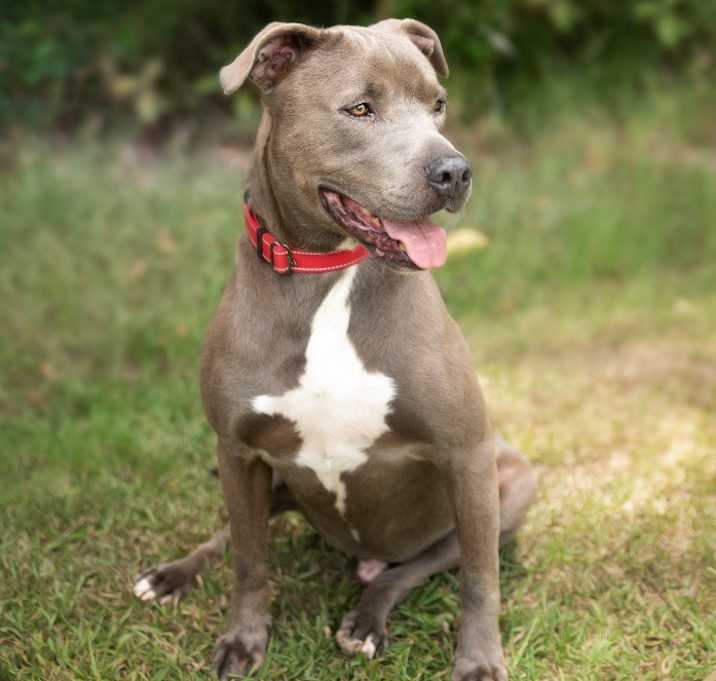Photo of Stanley