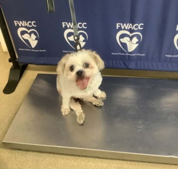 Photo of Jaxson