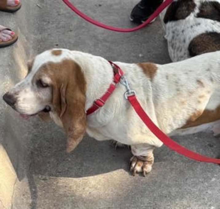 Photo of Maggie May
