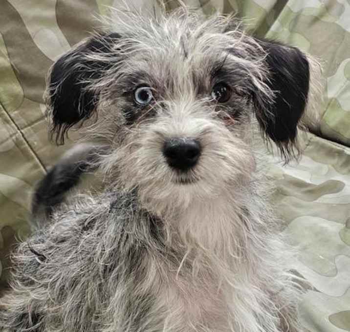 Photo of Tia