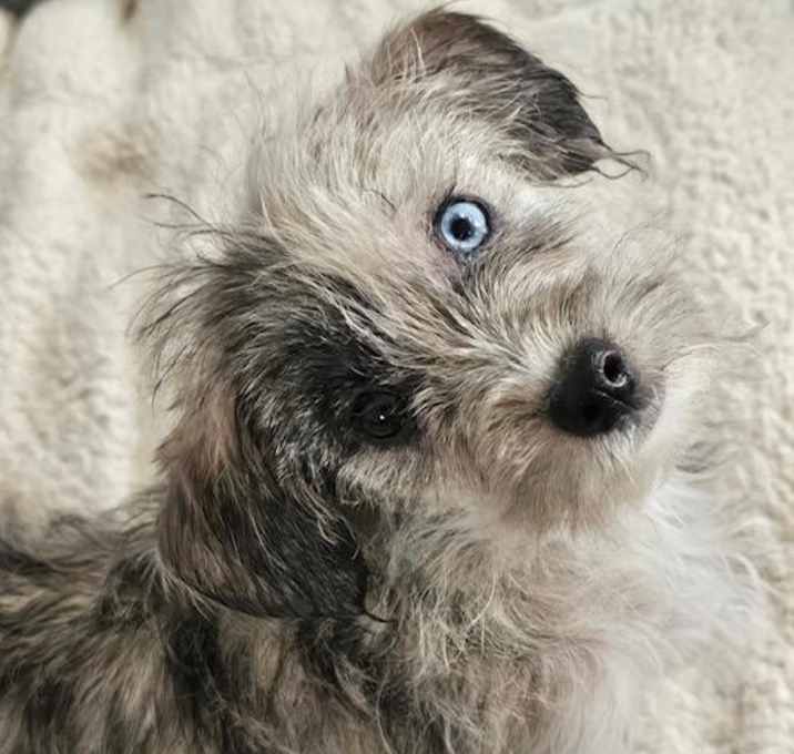 Photo of Tess