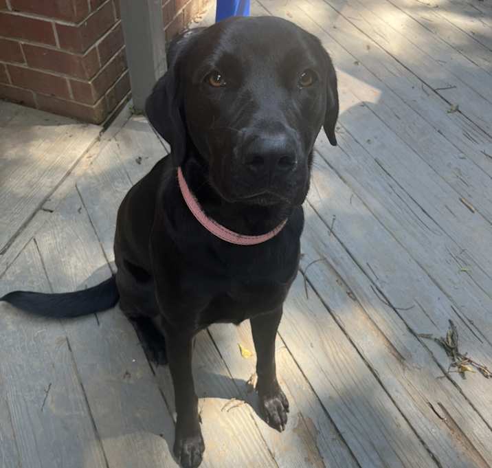 Photo of Dorothy