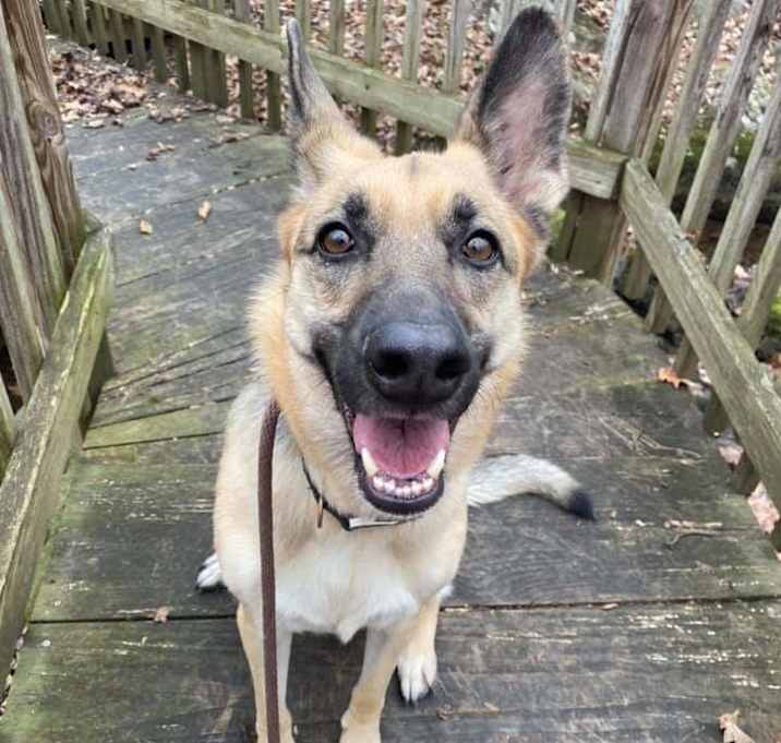 Photo of Tessa