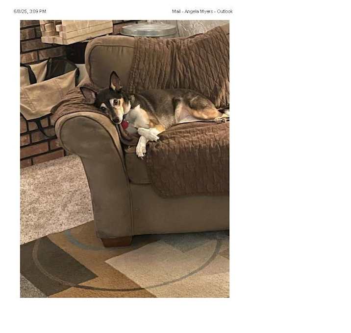 Photo of Pepper