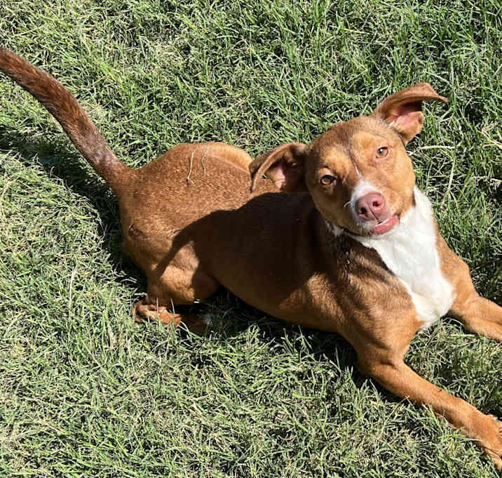 Photo of Lola