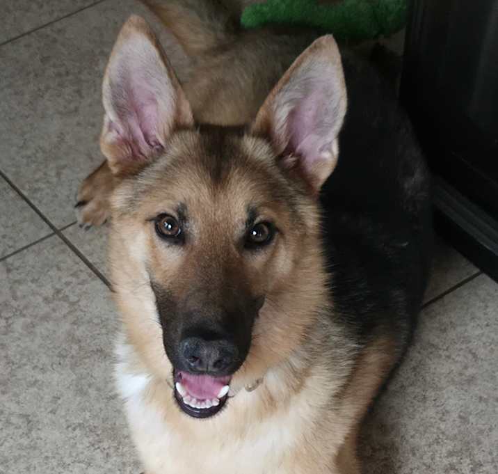 Photo of Zara