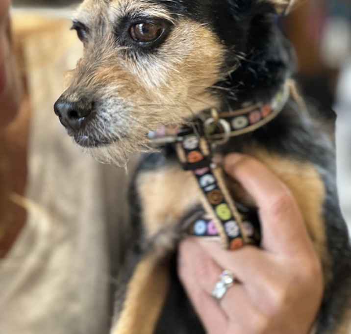 Photo of Prince