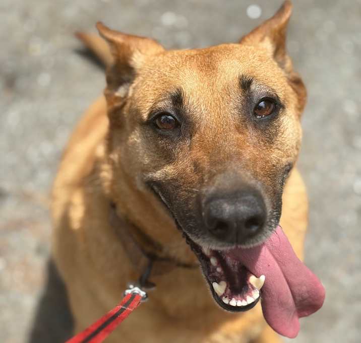 Photo of Sandy