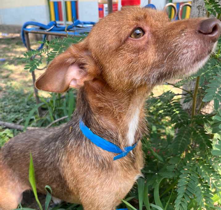 Photo of Tiny 