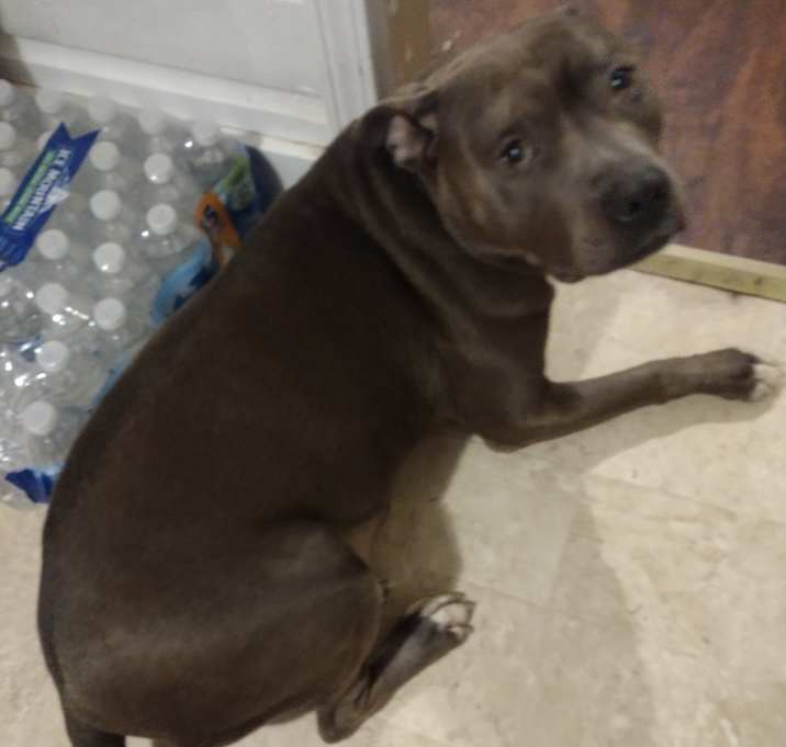 Photo of Blu