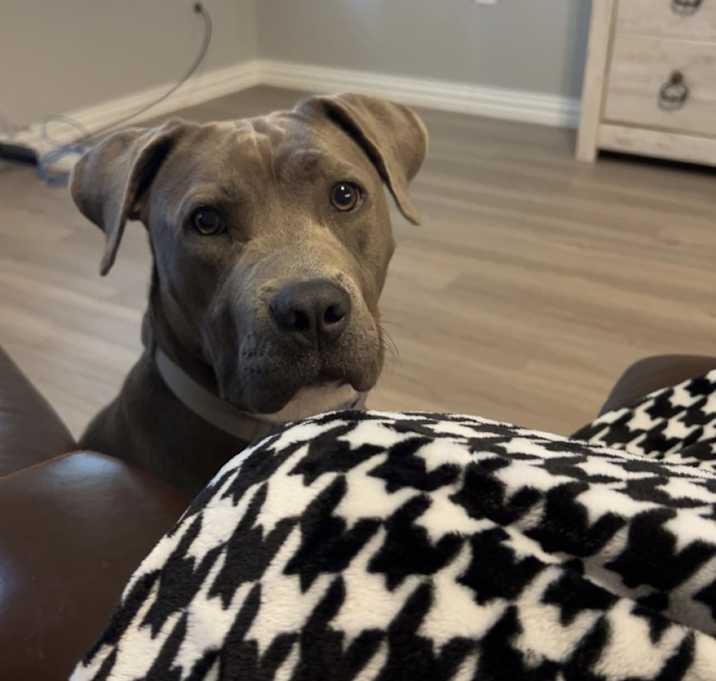 Photo of Ellie