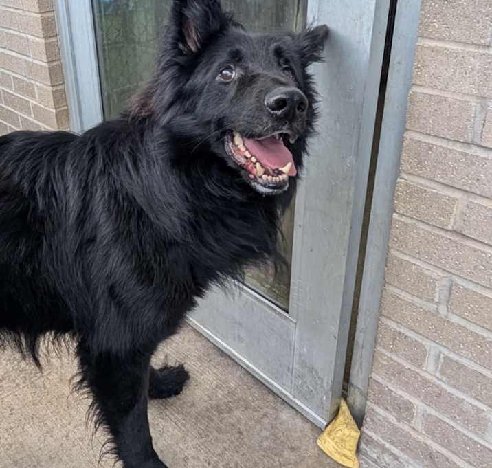 Photo of Otto