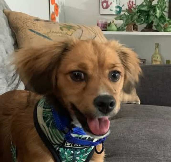 Photo of Chip Provac