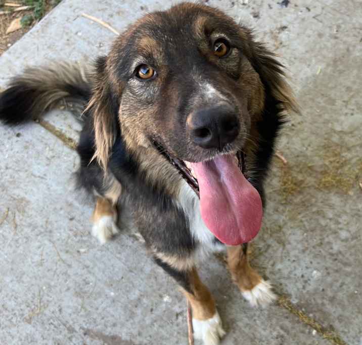 Photo of Billy
