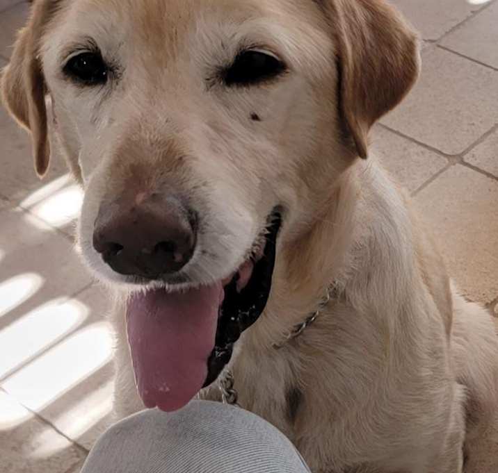Photo of Happy