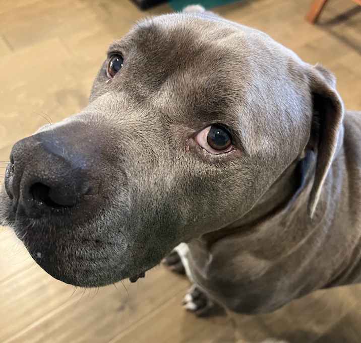 Photo of Blue