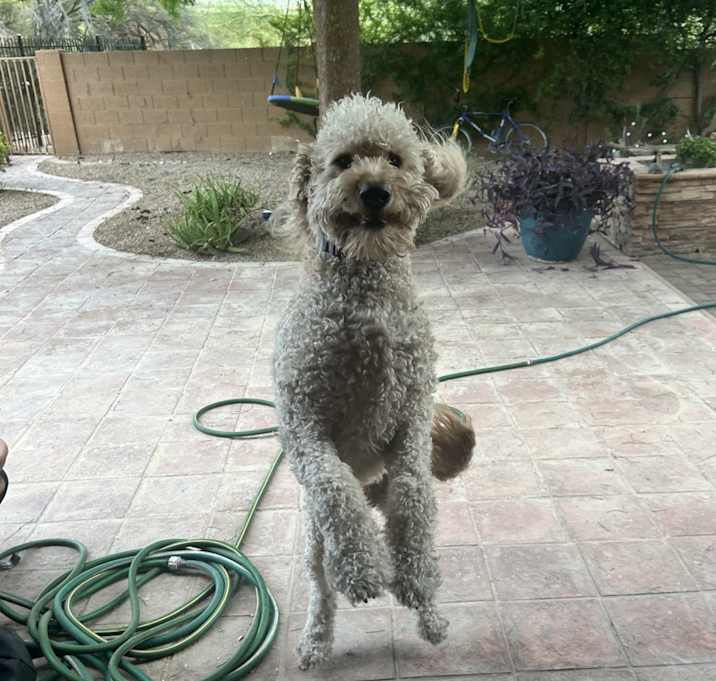 Photo of Spencer