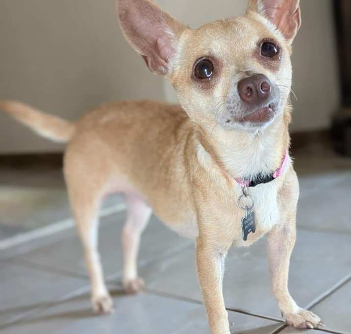 Photo of Sandy