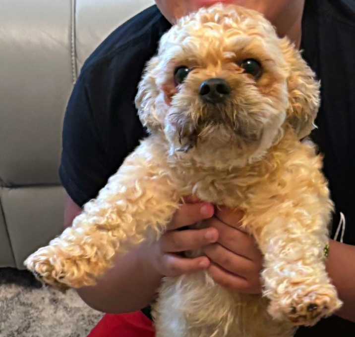 Photo of Jax