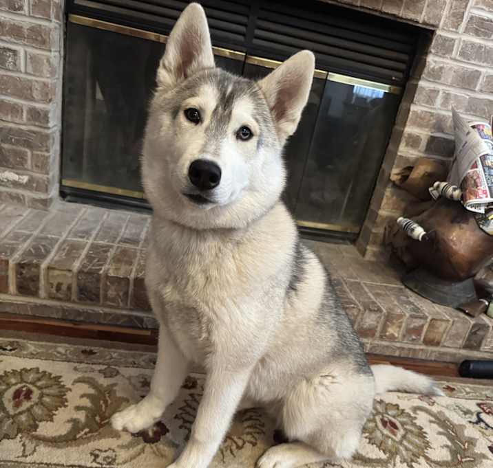 Photo of Mia