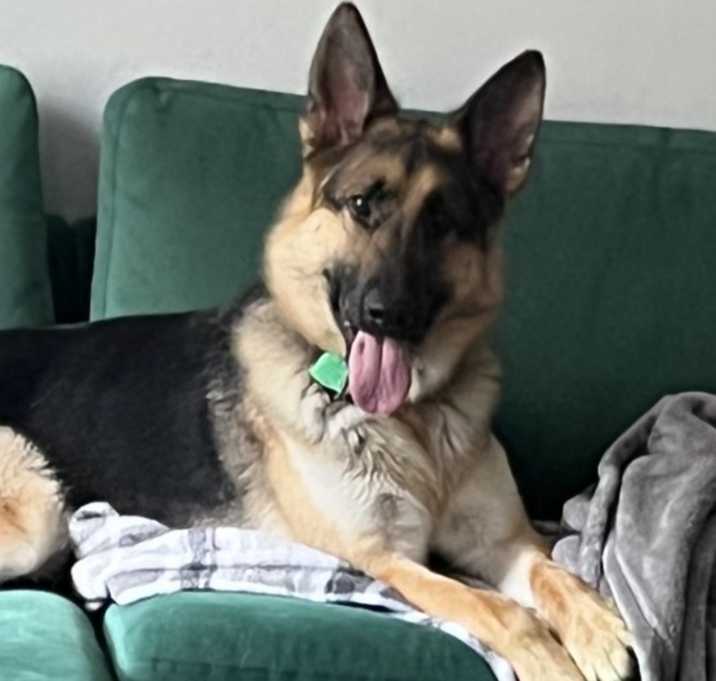 Photo of Tank