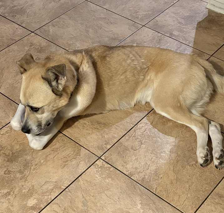 Photo of Jaxson