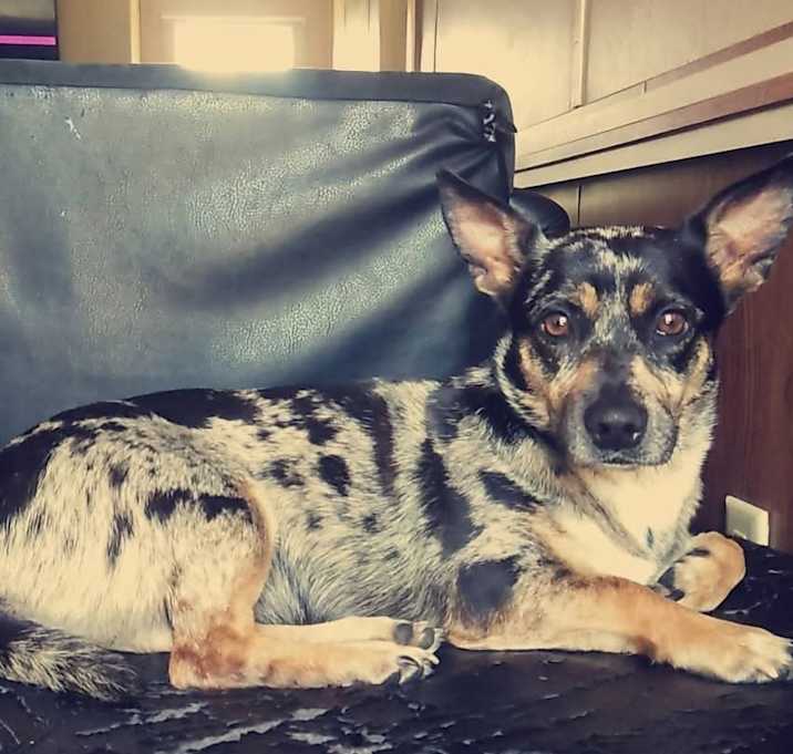 Photo of Snookie