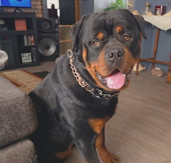 Photo of Hunter