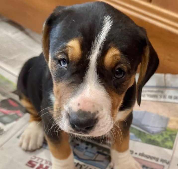 Photo of Winnie