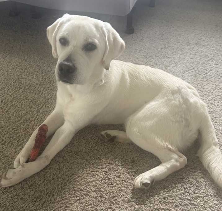 Photo of Snoop
