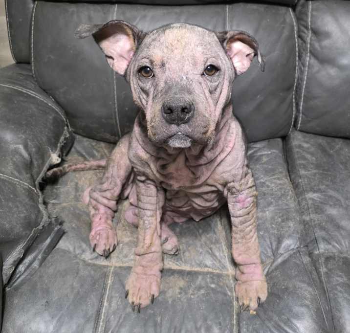 Photo of Holly
