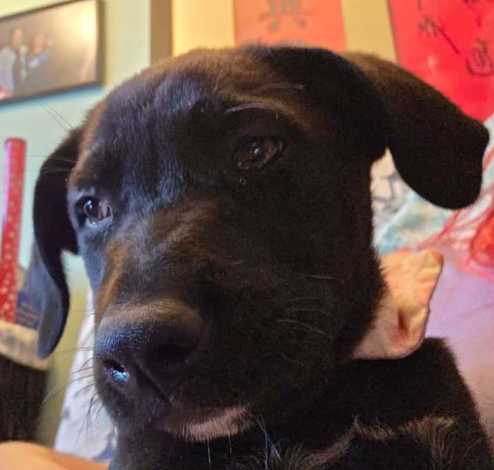 Photo of Kalia