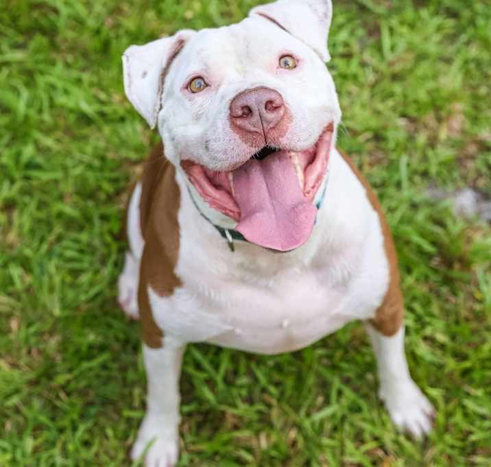 Photo of Max