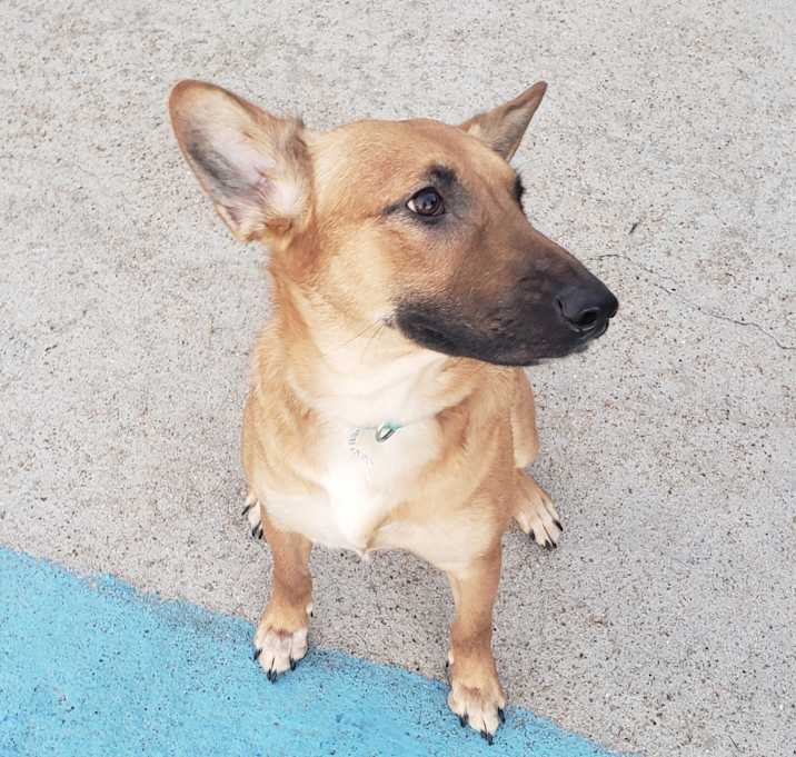Photo of Chloe