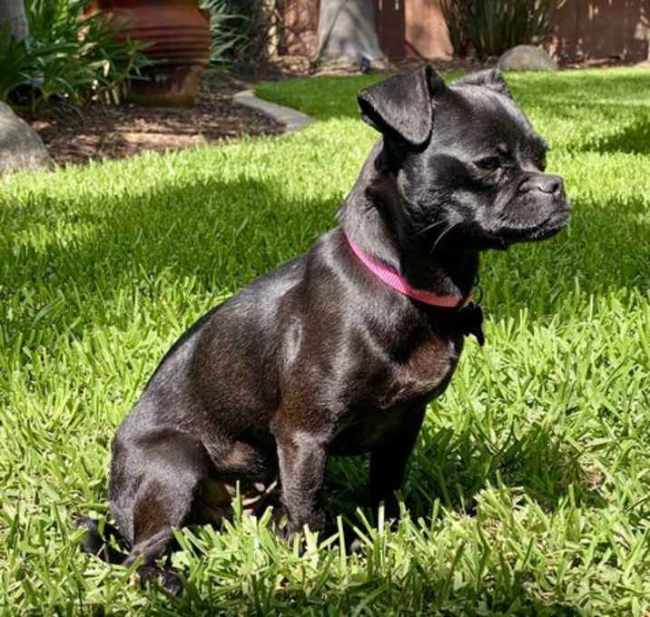 Photo of Estella