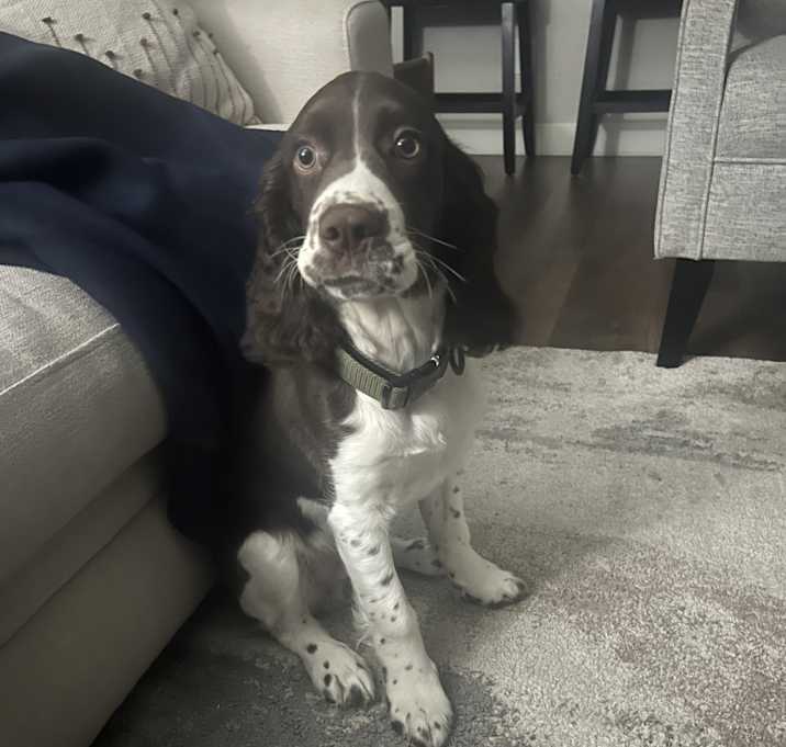 Photo of Luey