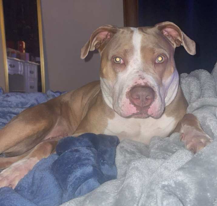 Photo of Winnie