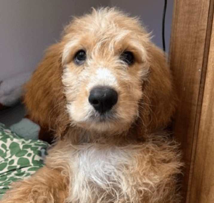 Photo of Eddie