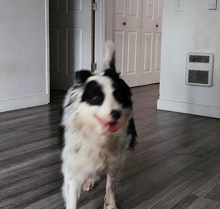 Photo of Lucy