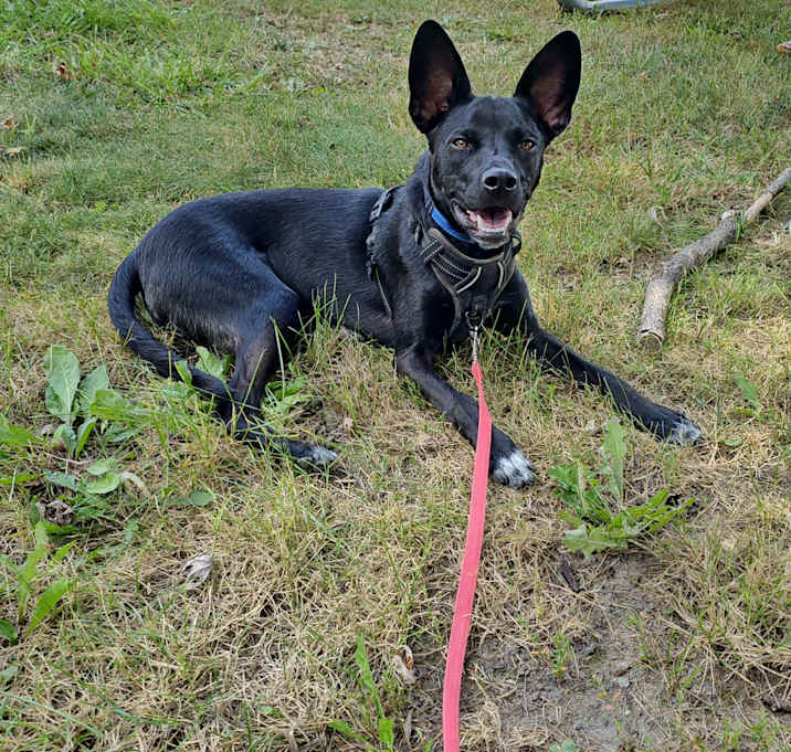 Photo of Mylo