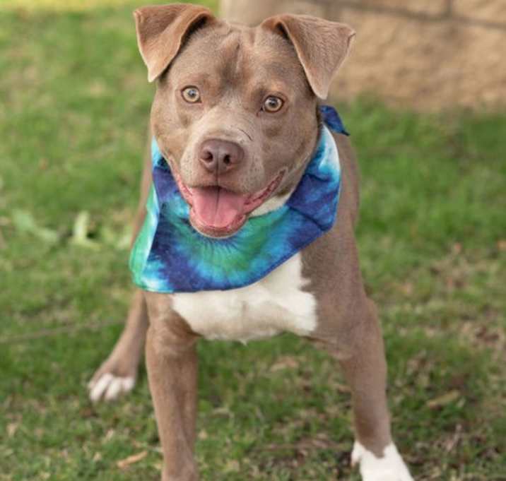 Photo of MAX